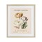 Stupell Industries Natural Lotus Bundle Framed Print Under Glass, design by Christopher Giampietro